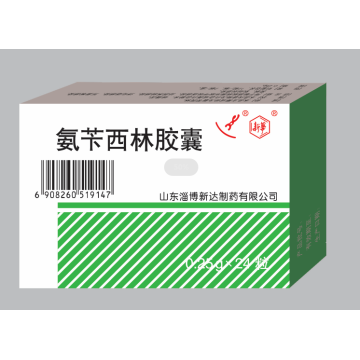 Ampicillin Capsules treat bacterial infections